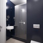 ванная комната, контрастное цветовое решение, красивая сантехника, душевая за стеклом